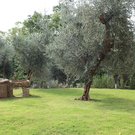 فيلة Mami, Siena, Intera A Uso Esclusivo Con Piscina Privata